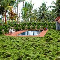 Hotel Bombay Tiffanys Mysore Εξωτερικό φωτογραφία